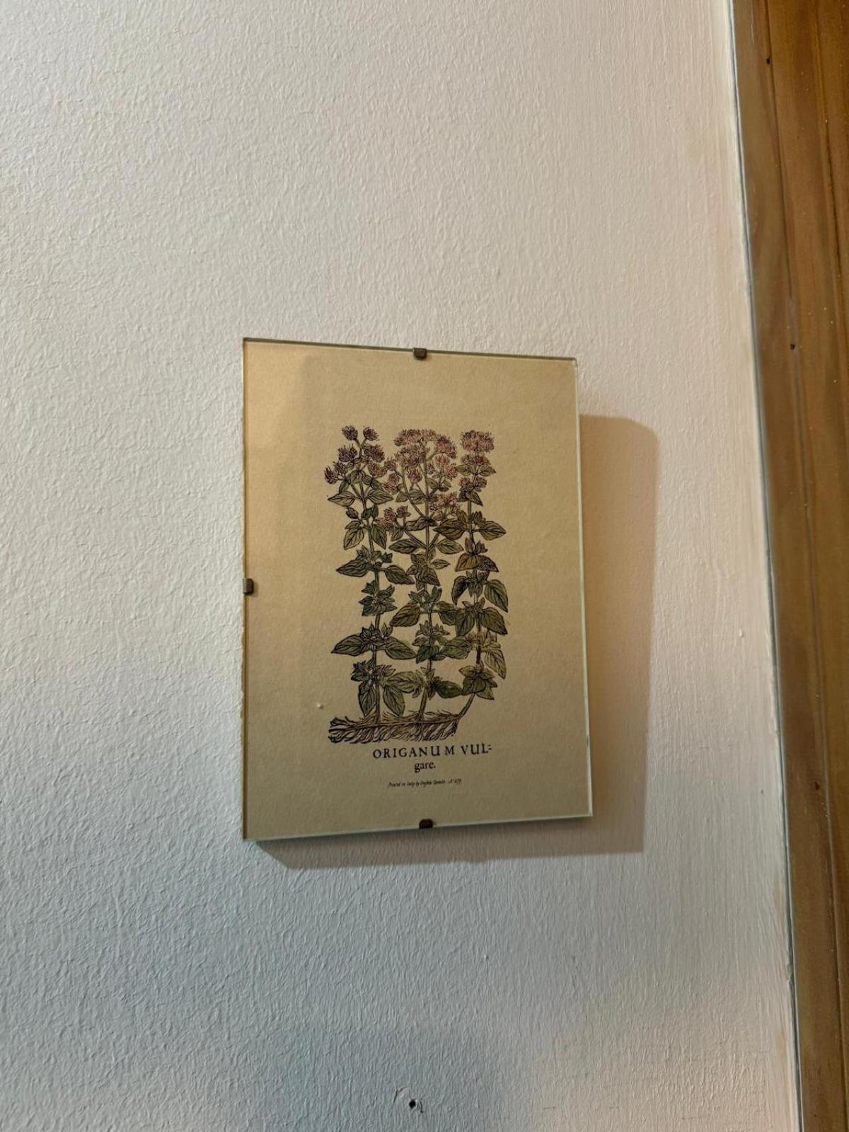 Apartamento Casa Palacio 1890. 엘푸에르토데산타마리아 외부 사진